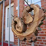 ゲストハウス Heinrich's & 4*